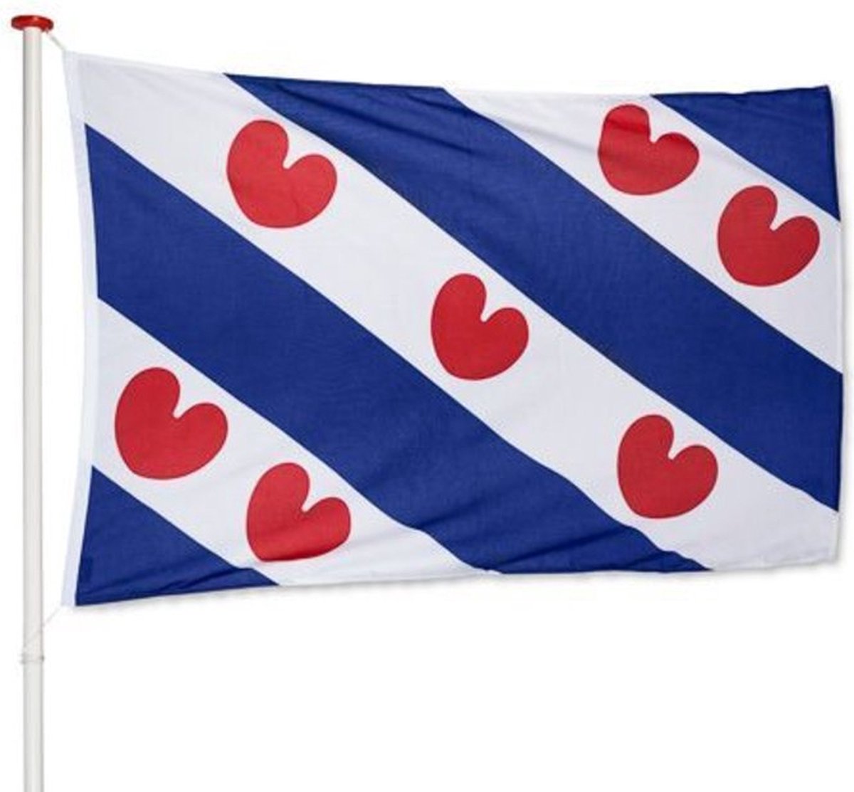 Friese vlag Friesland | gevelvlag Friesland geschikt voor vlaggenstok | afm. 100x150 cm, polyester | VlaggenEnMasten.nl